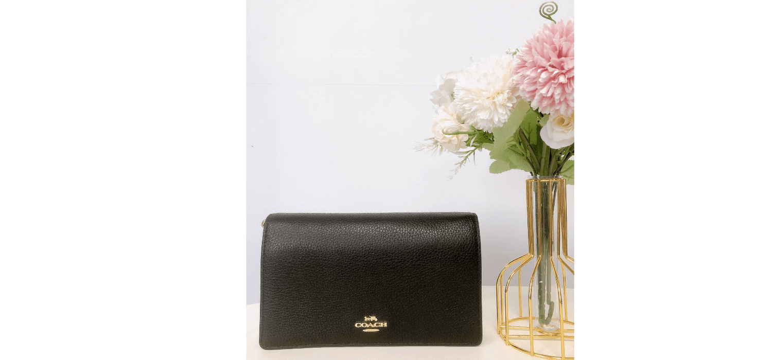 Coach shops Anna Foldover Crossbody Clutch