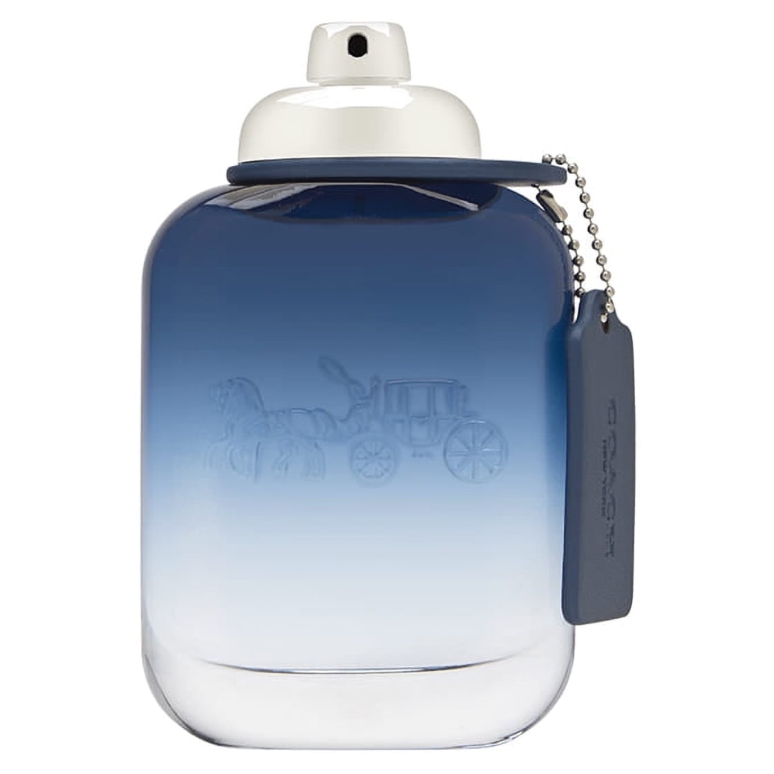 COACH BLUE Eau de Toilette 100ml 男性用 Coach Blue Eau De Toilette Spray for Men 3.3 oz Fresh Citrusy