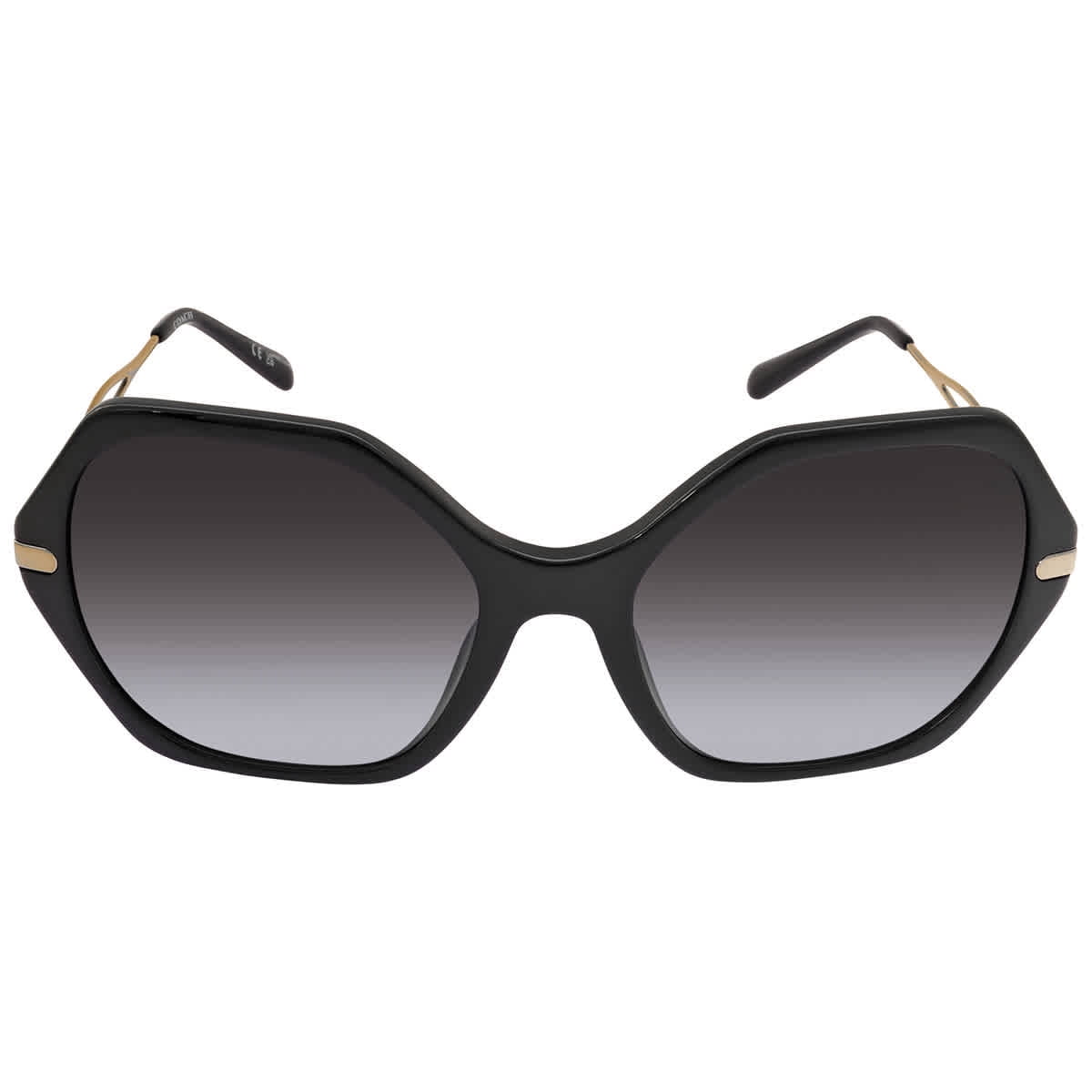 Coach C3345 HC 8315 Plastic Womens Geometric Sunglasses  display picture 1