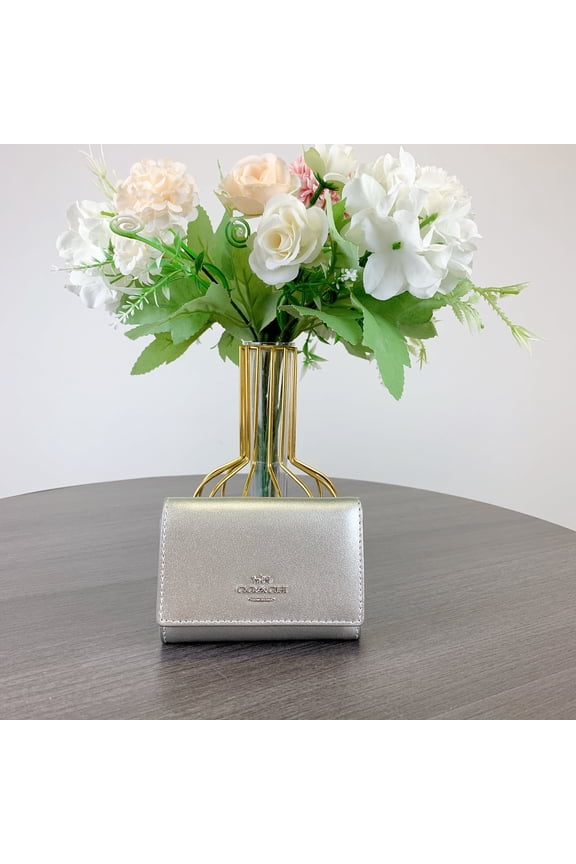 CW805 Micro WalletMeasurements IN LIGHT SILVER