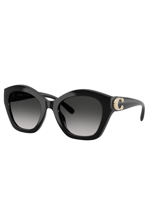 HC 8421U Plastic Womens Irregular Sunglasses Black 54mm Adult