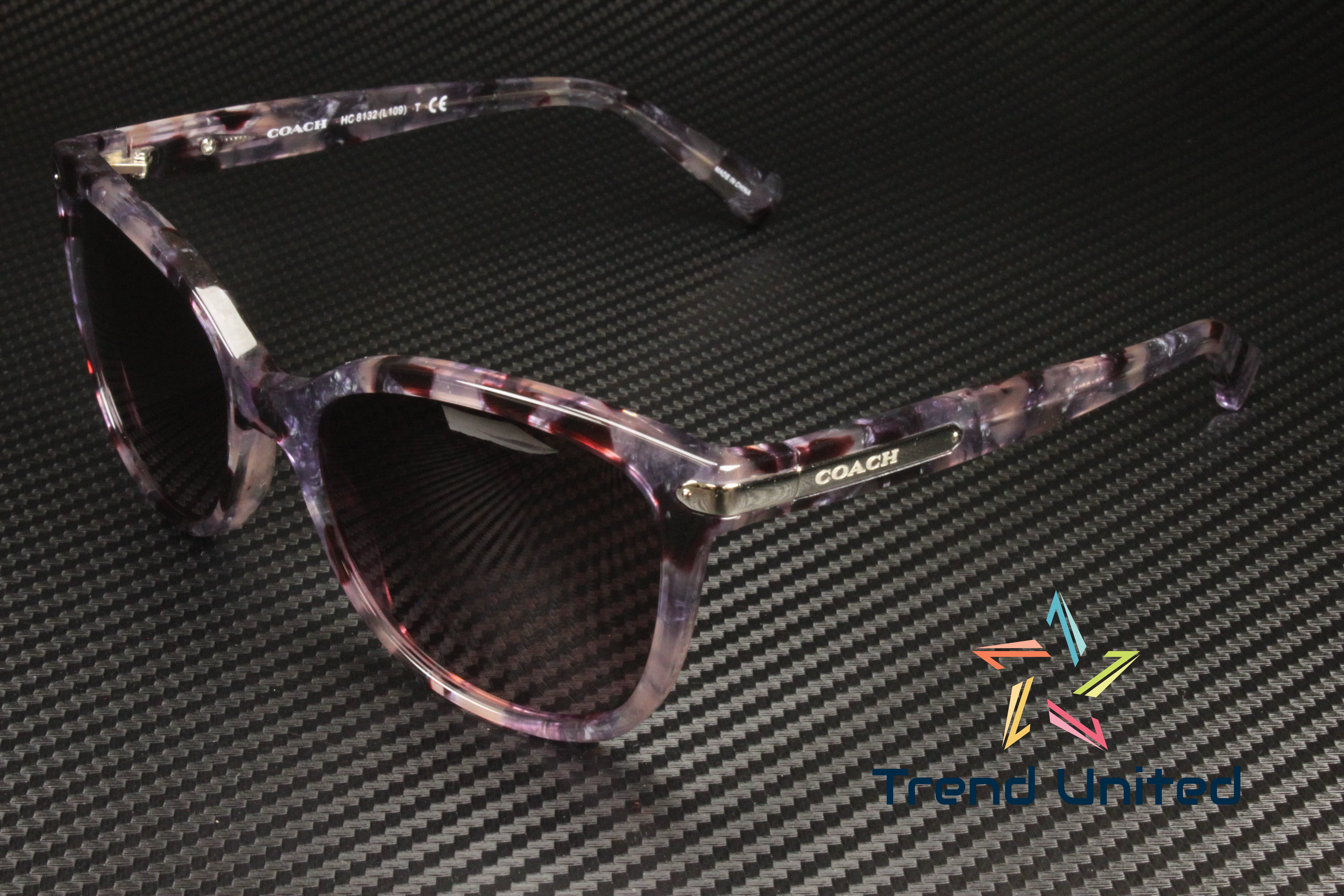 Coach L109 HC8132 Sunglasses