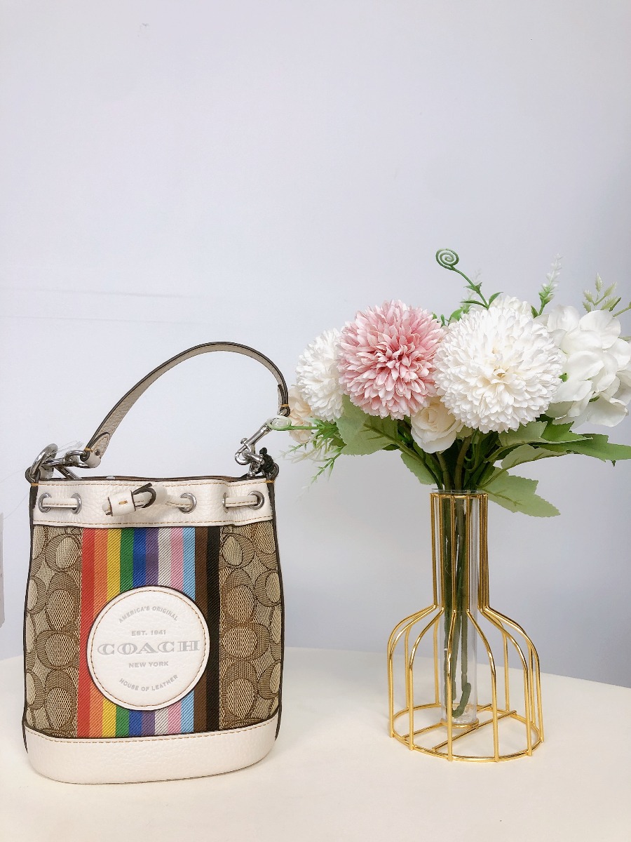 Coach Mini Dempsey Bucket Bag In Signature Jacquard Jamaica | Ubuy