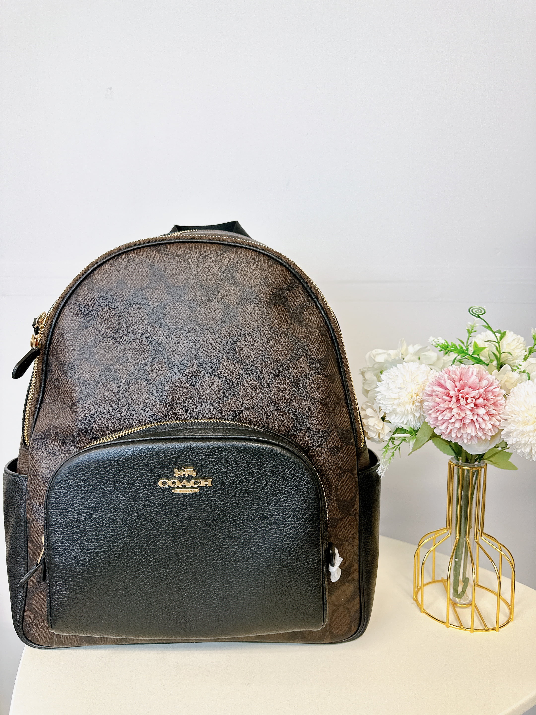 Coach 6495 Women's Large Court Backpack, Signature Canvas in Brown