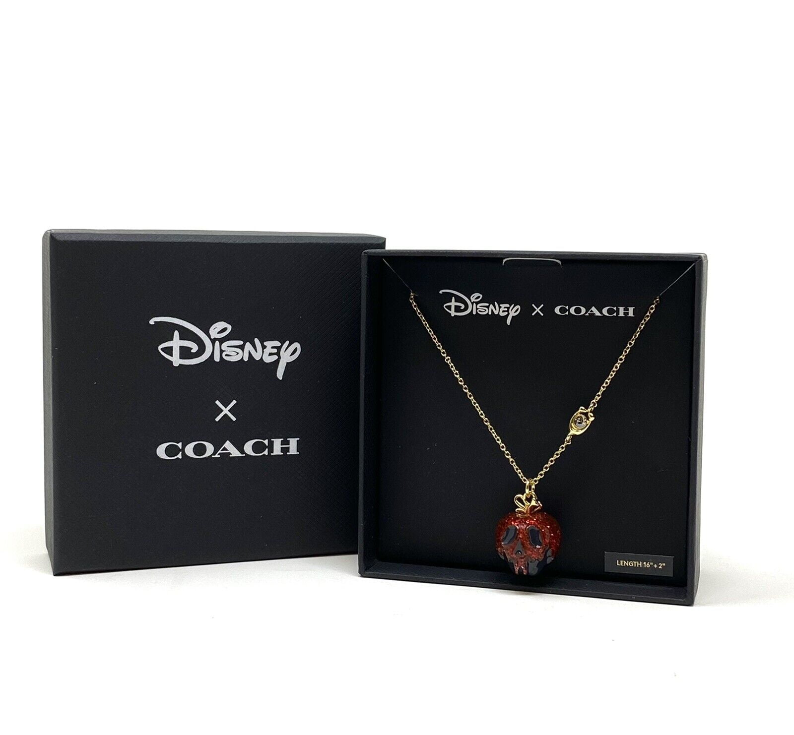 Coach x Disney Villains Collection Coming Soon!