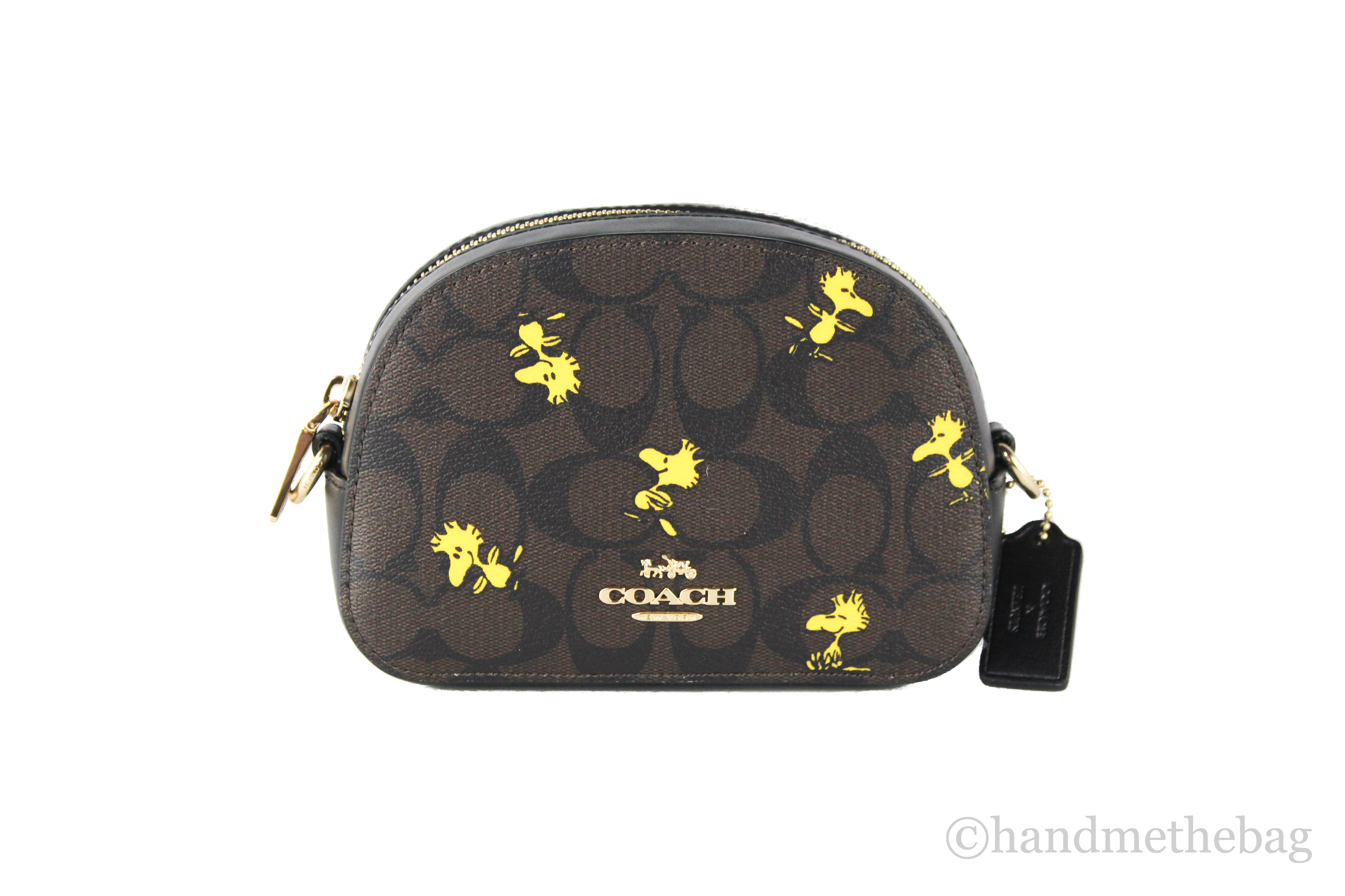 Coach Outlet Disney X Coach Eva Phone Crossbody In Signature Canvas With  Patches in Metallic
