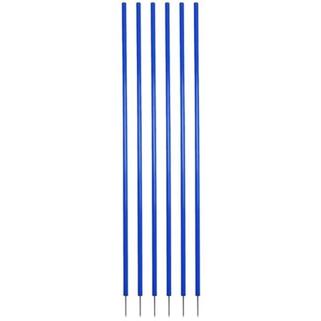 Coaching Stick Set, Royal Blue - Set of 6