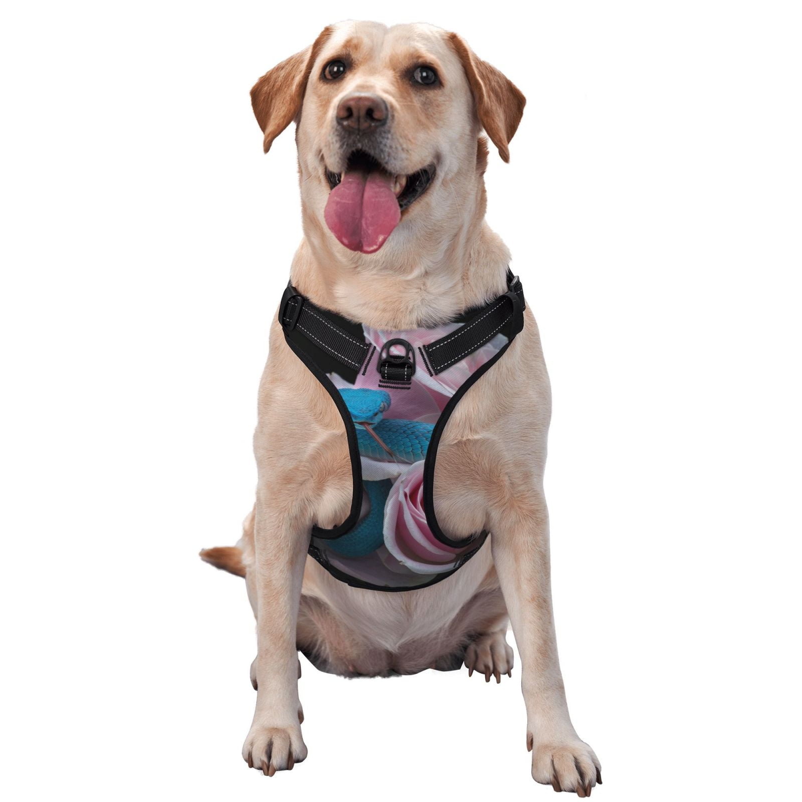 Coaee Blue Lipped Pit Viper And Three Pink Roses Dog Harnesses Vest No