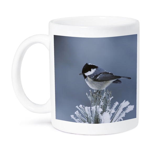 Coal Tit Bird, Swiss Stone Pine, Switzerland - Na02 Rnu0530 - Rolf Nussbaumer, 11oz Mug
