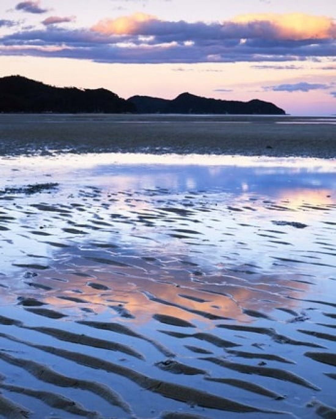 Coast Abel Tasman National Park New Zealand Canvas Art - Charles Gurche DanitaDelimont (16 x 20)