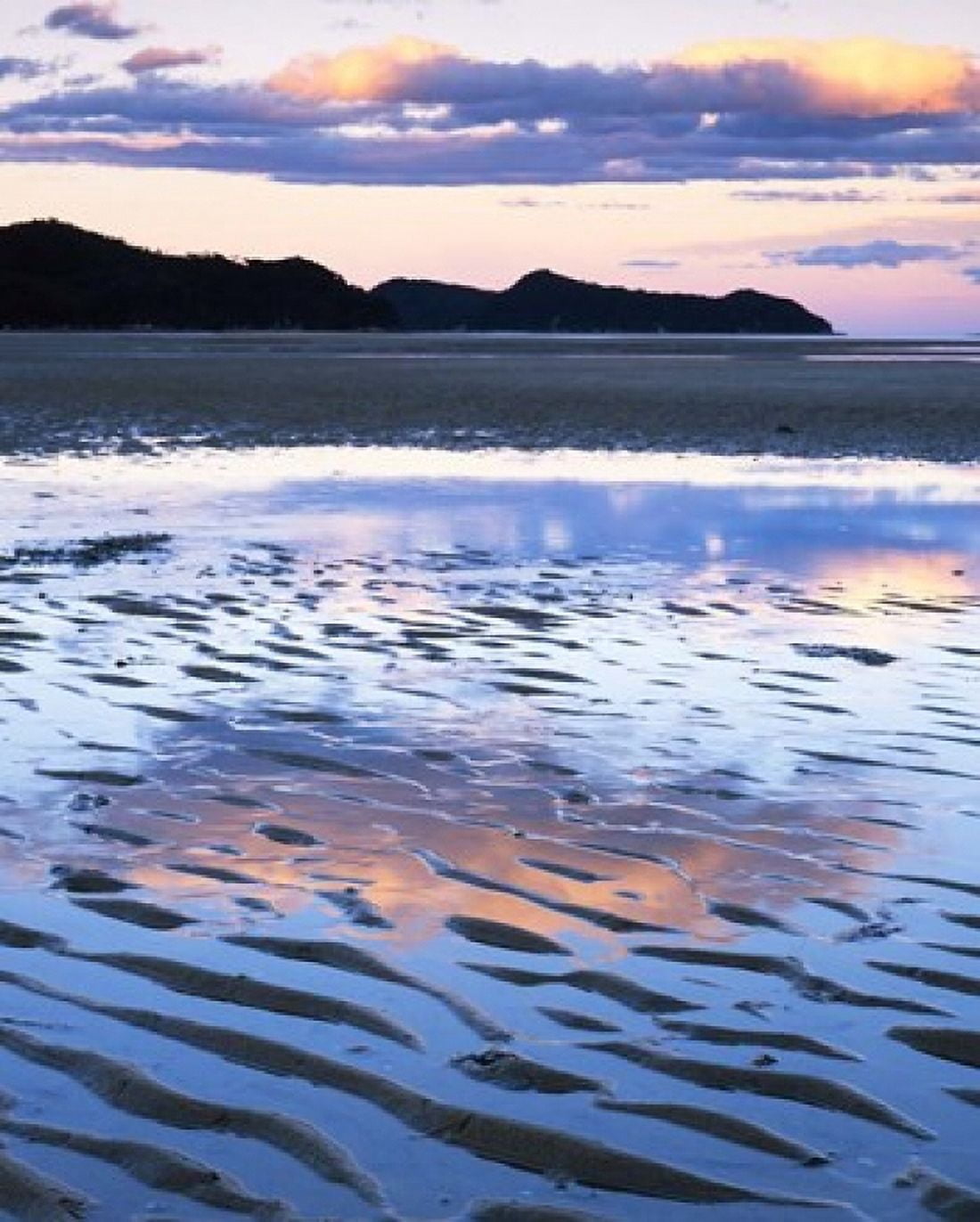 Coast Abel Tasman National Park New Zealand Canvas Art - Charles Gurche DanitaDelimont (37 x 45)