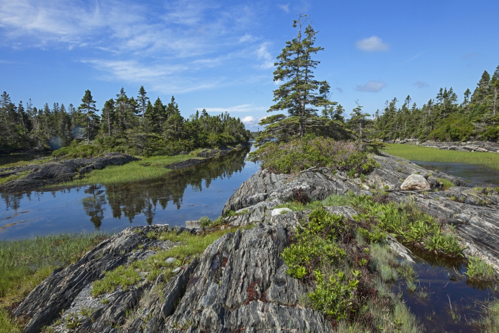 Coast East of Lunenburg Nova Scotia Canada Canvas Art - Carl Bruemmer Design Pics (19 x 12)