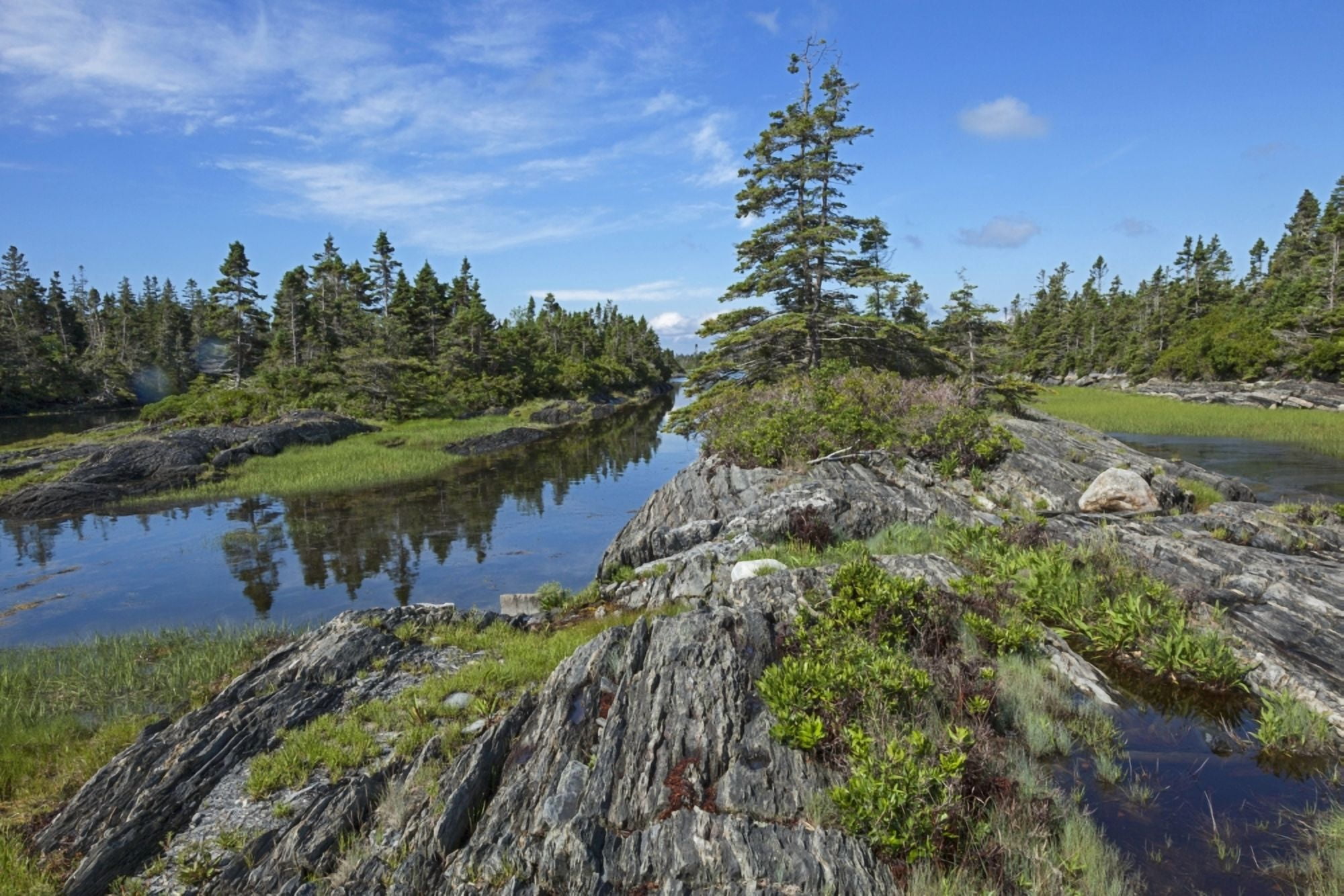 Coast East of Lunenburg Nova Scotia Canada Canvas Art - Carl Bruemmer Design Pics (38 x 24)