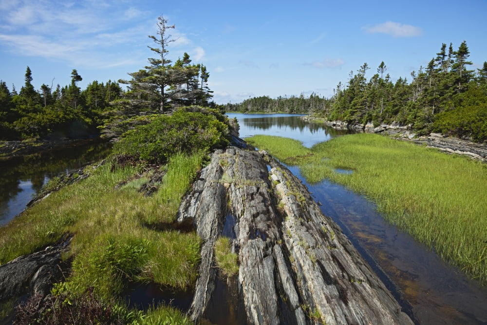Coast East of Lunenburg Nova Scotia Canada Canvas Art - Carl Bruemmer Design Pics (38 x 24)