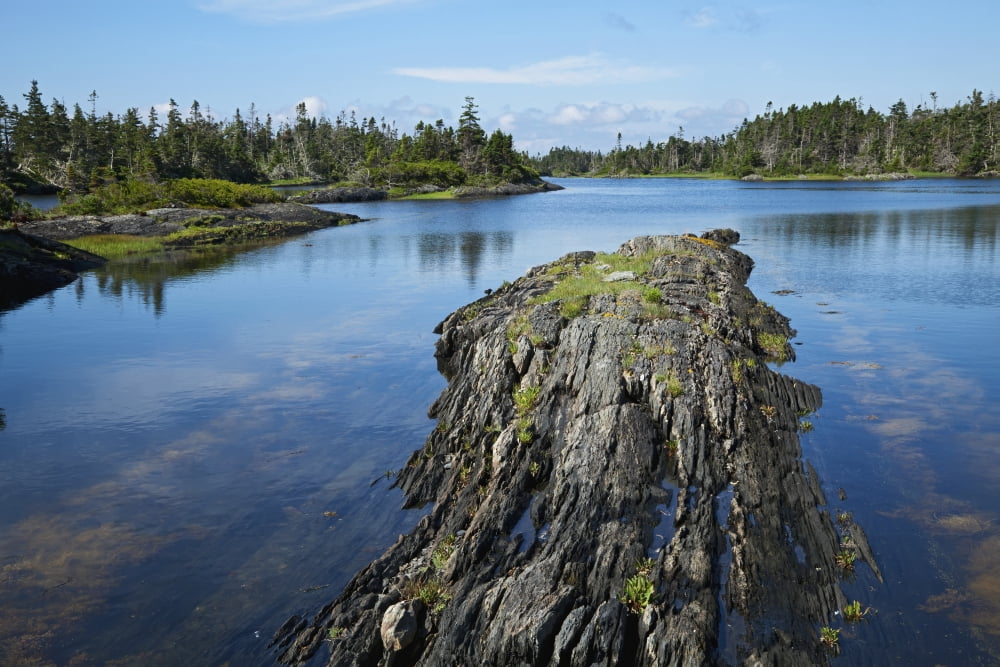Coast East of Lunenburg Nova Scotia Canada Canvas Art - Carl Bruemmer Design Pics (38 x 24)