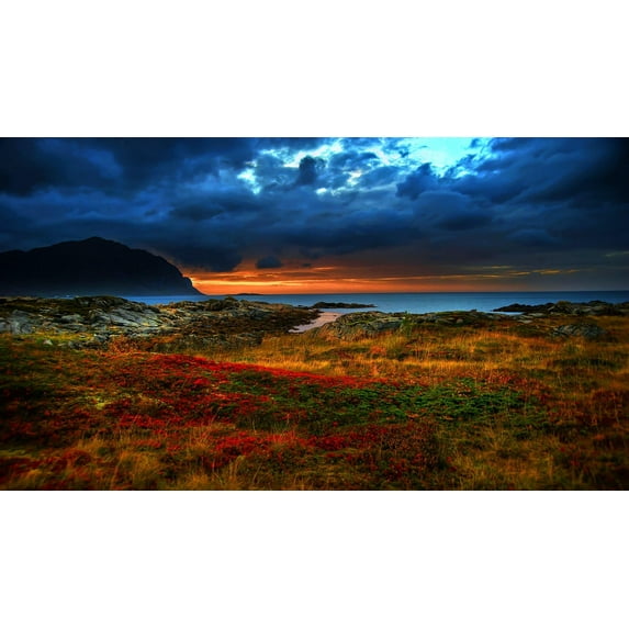 Coast Flower Canvas Art Landscape Picture Wall Art Framed Painting Wall Decor For Home Office Bedroom Reeady to Hang