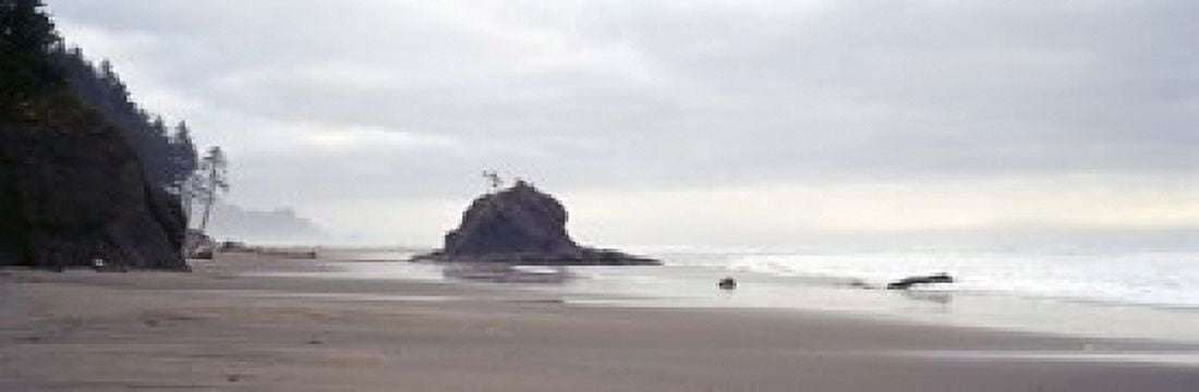 Coast La Push Olympic National Park WA Canvas Art - Panoramic Images (18 x 6)