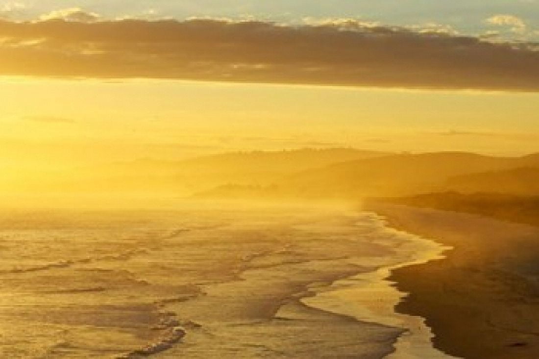 Coast South of Dunedin South Island New Zealand Canvas Art - David Wall DanitaDelimont (24 x 15)