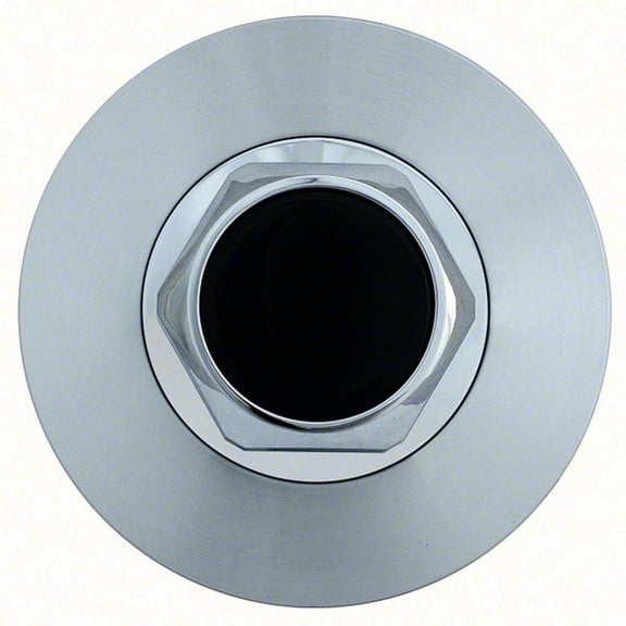 Coast To Coast IWCC5082 Machined Natural Wheel Center Cap