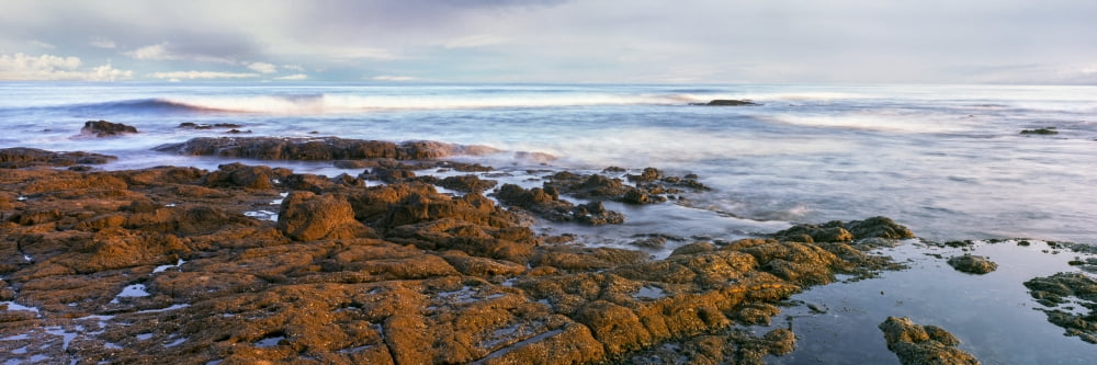 Coast at sunset Las Rocas Beach Baja California Mexico Canvas Art - Panoramic Images (27 x 9)