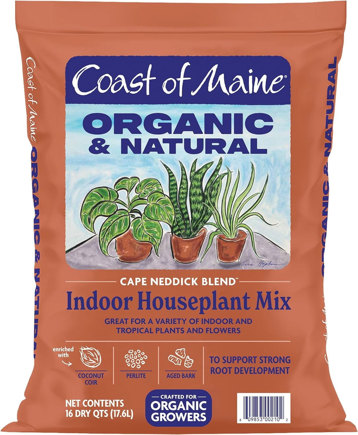 Coast of Maine Cape Neddick Houseplant Mix