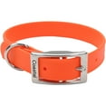 thumbnail image 1 of Coastal Pet Products 04612 ORG14  Waterproof Dog Collar  Harnesses, Orange, 14, 1 of 2