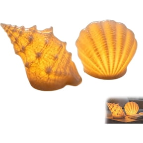 Coastal Afterglow Shell & Conch Light Set, 2-Piece Resin Beach Night Light