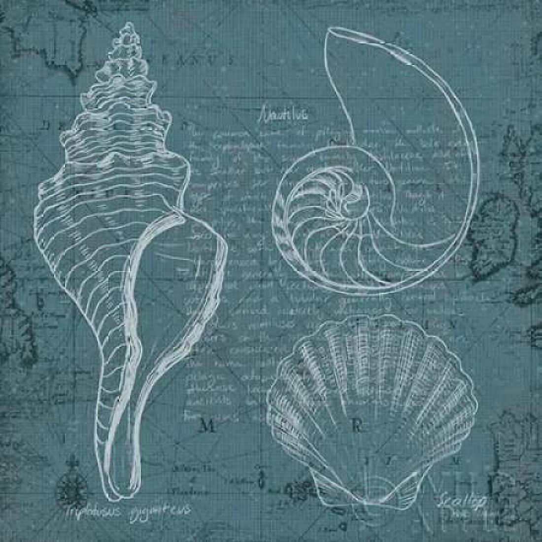 Coastal Blueprint I Canvas Art - Marco Fabiano (24 x 24)