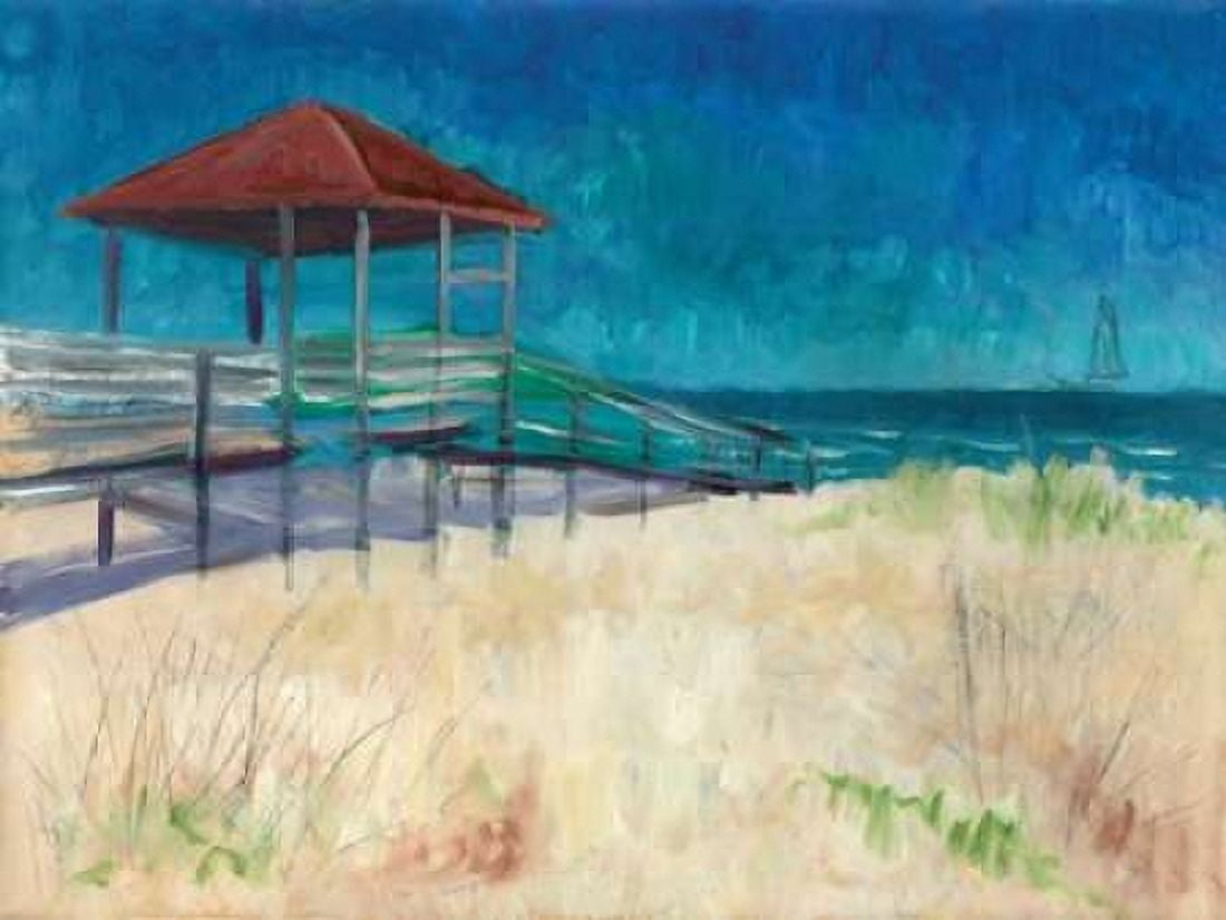 Coastal Canvas Art - Todd Williams (22 x 28)