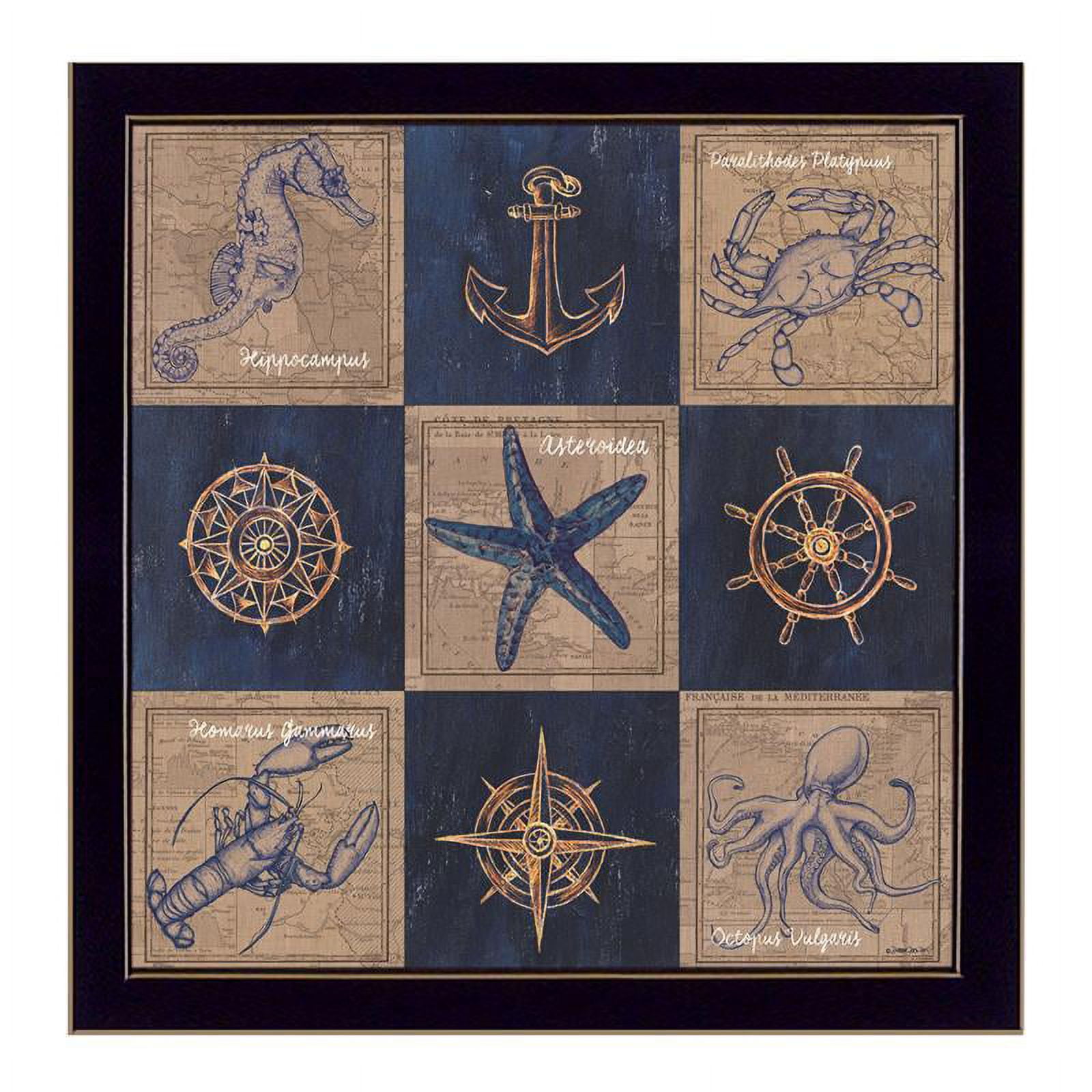 Traditional Black Framed Coastal Collage Canvas Art
