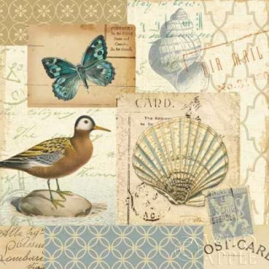 Coastal Collage I Canvas Art - Pela (24 x 24)