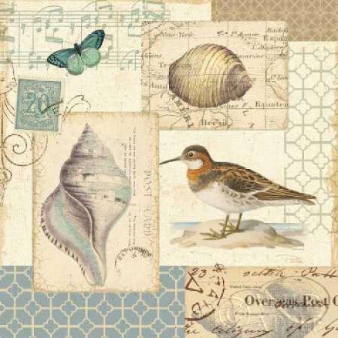 Coastal Collage II Canvas Art - Pela (24 x 24)