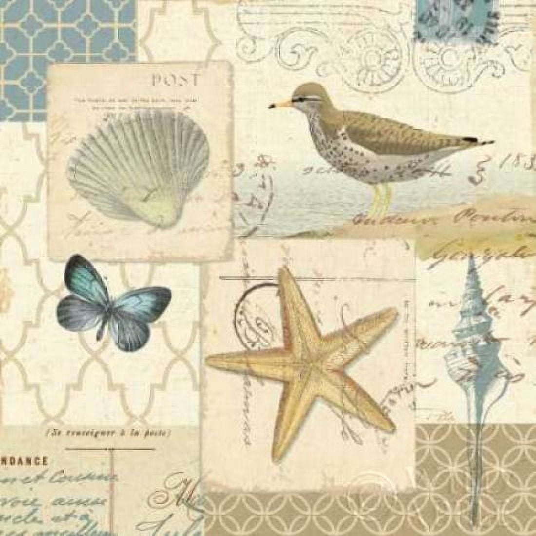 Coastal Collage IV Canvas Art - Pela (24 x 24)