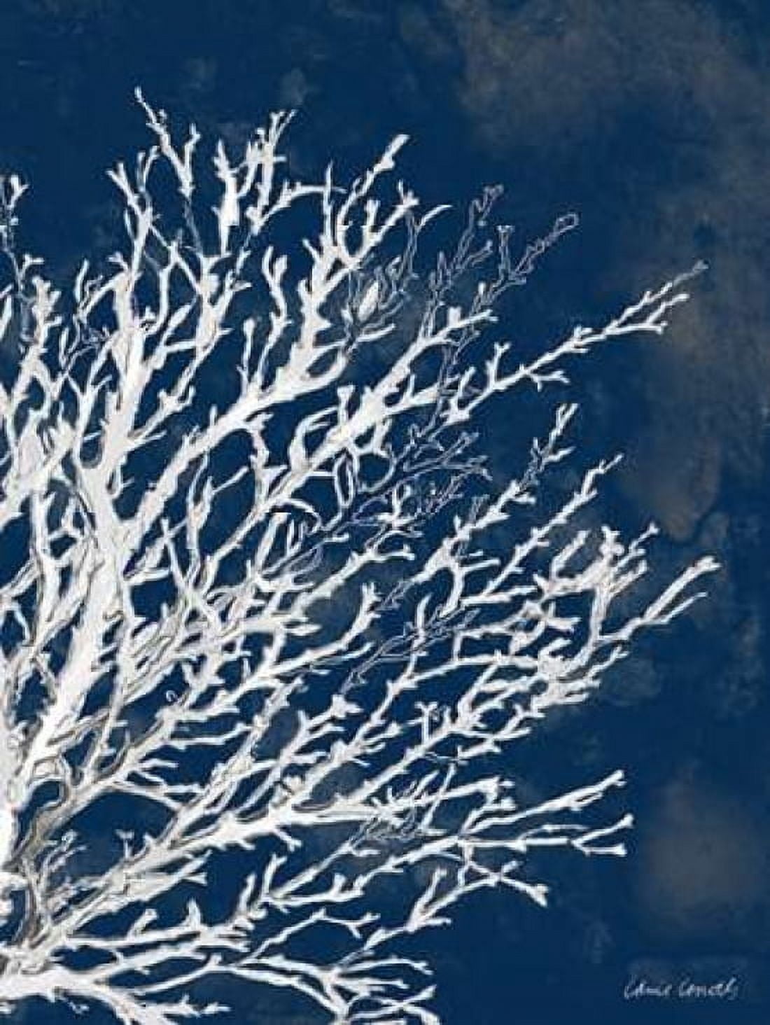 Coastal Coral II Canvas Art - Lanie Loreth (18 x 24)