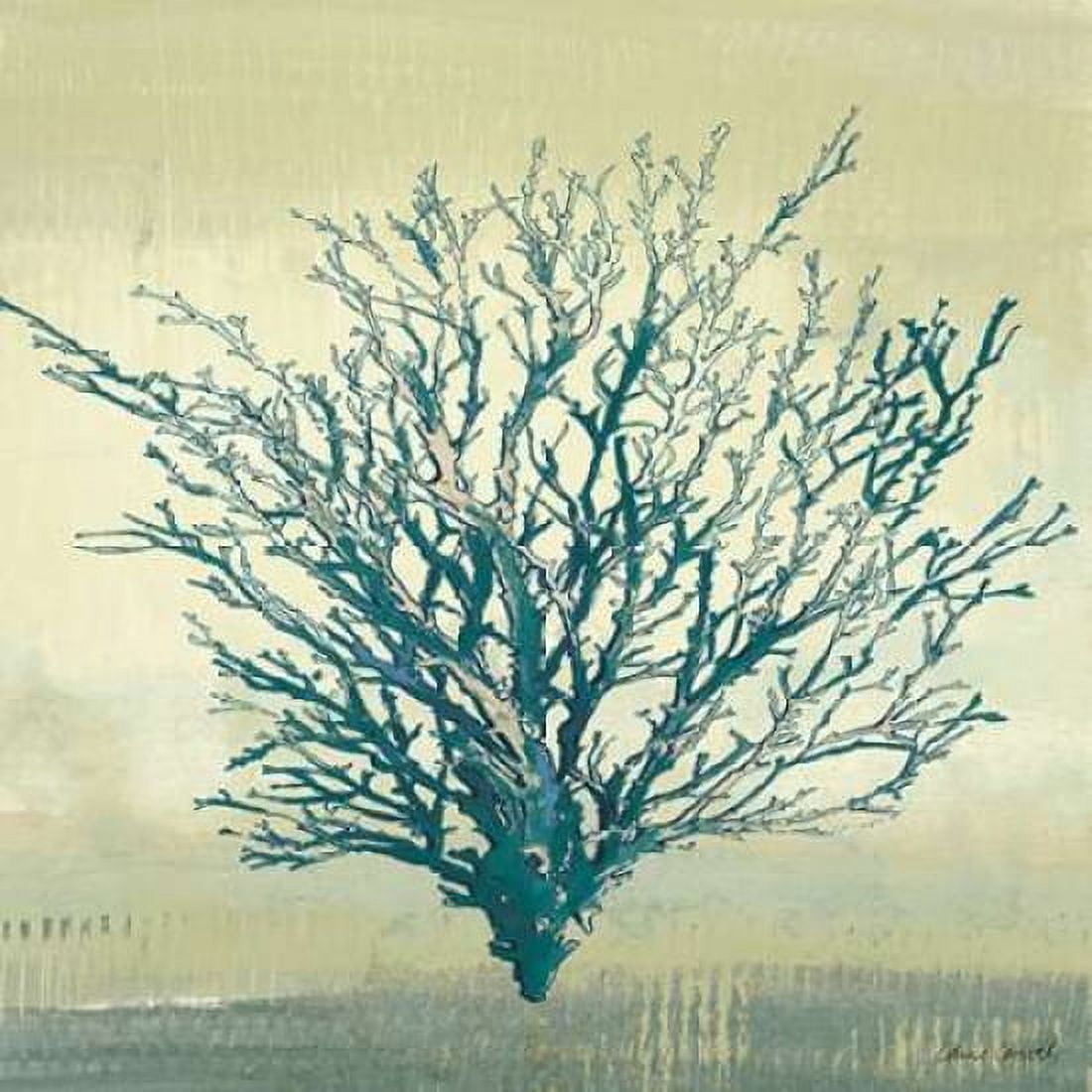Coastal Coral II Canvas Art - Lanie Loreth (24 x 24)