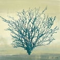 thumbnail image 1 of Coastal Coral II Poster Print by Lanie Loreth (24 x 24), 1 of 2