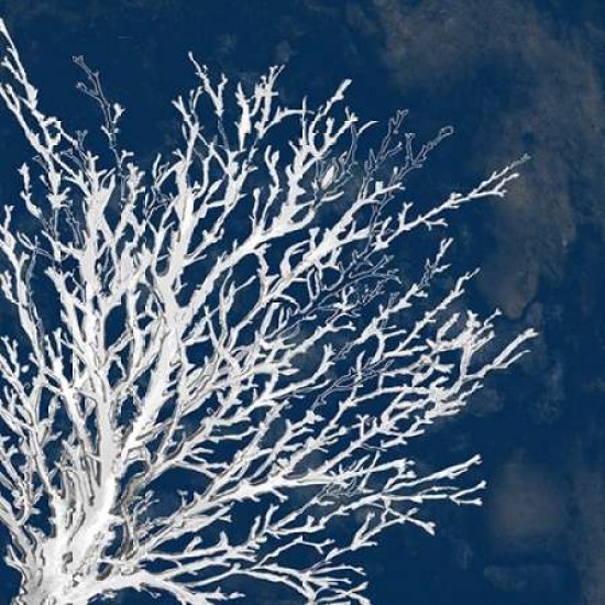Coastal Coral II Poster Print by Lanie Loreth (12 x 12)