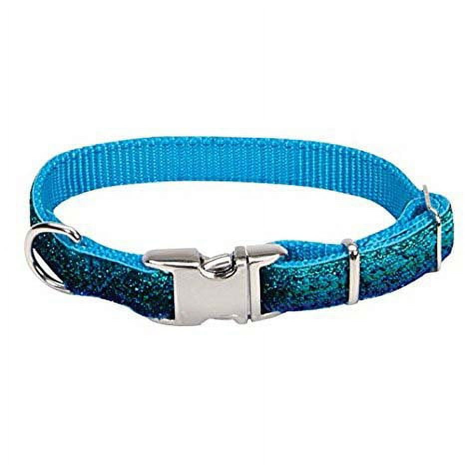 Coastal Dog Collar