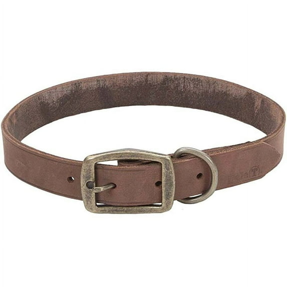 Coastal Dog Collar