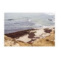 Coastal Drift - Photography Unframed Wall Art Print 4 x 6 inches