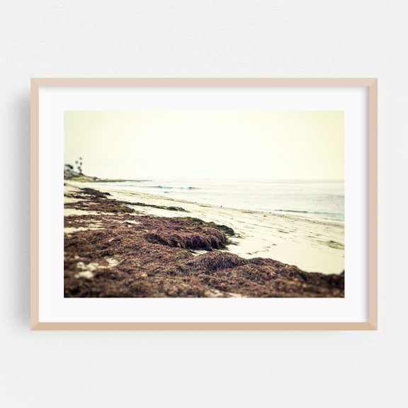 Coastal Drift - San Diego California Photography Beach Coastal Ocean Nature Minimalist Landscape Vintage Oak Framed Wall Art Print 20 x 30 inches