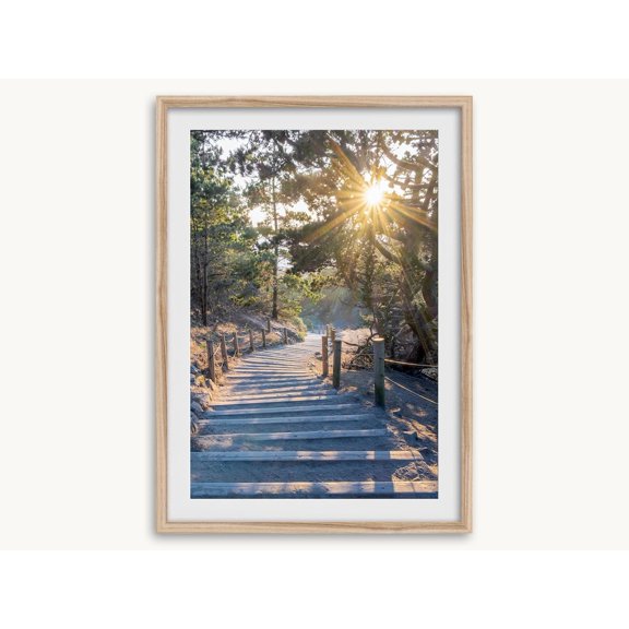 Coastal Forest Fine Art Photography Print San Francisco Sunset Wall Art Serene Artwork For Home Decor, Unframed Paper Print