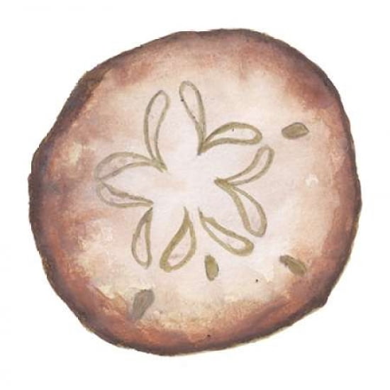 Coastal Icon Coral II Canvas Art - Elizabeth Medley (24 x 24)