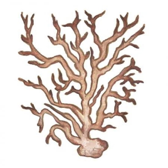 Coastal Icon Coral III Canvas Art - Elizabeth Medley (24 x 24)