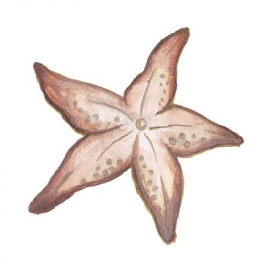 Coastal Icon Coral VII Canvas Art - Elizabeth Medley (24 x 24)