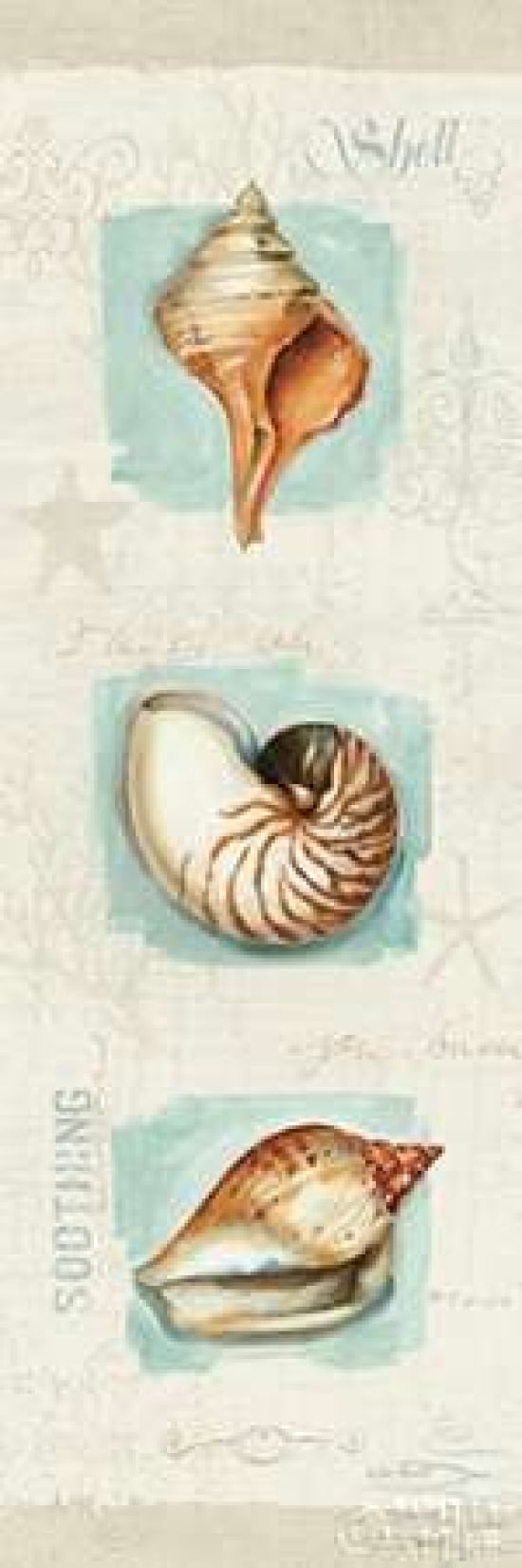 Coastal Jewels Panel II Canvas Art - Lisa Audit (12 x 36)