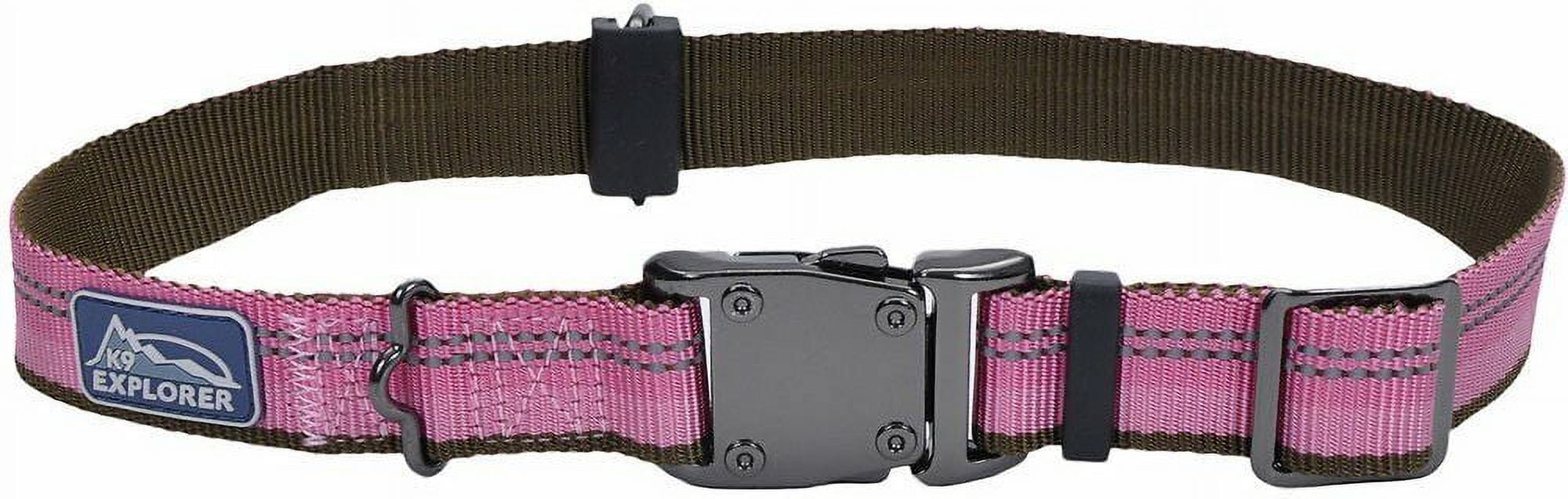 Coastal K9 Explorer Reflective Safety Dog Collar
