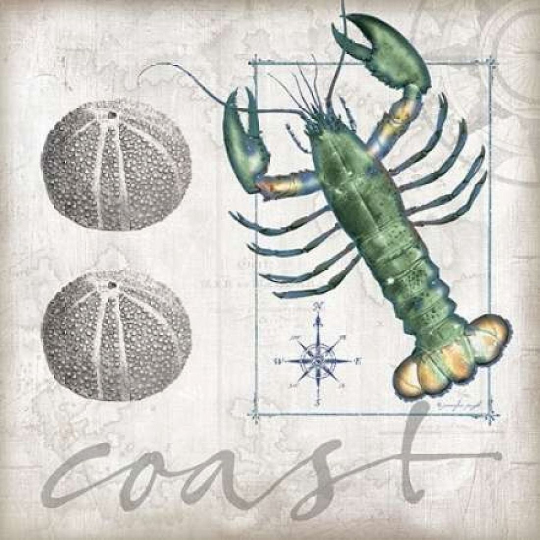 Coastal Lobster Canvas Art - Jennifer Pugh (24 x 24)
