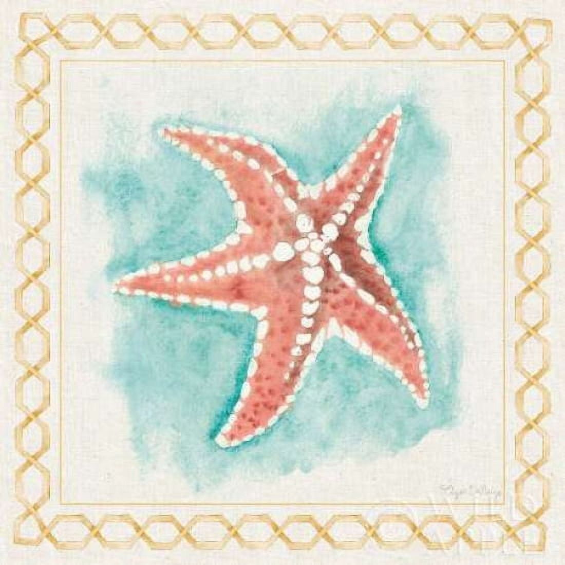 Coastal Mist Starfish Canvas Art - Elyse DeNeige (24 x 24)
