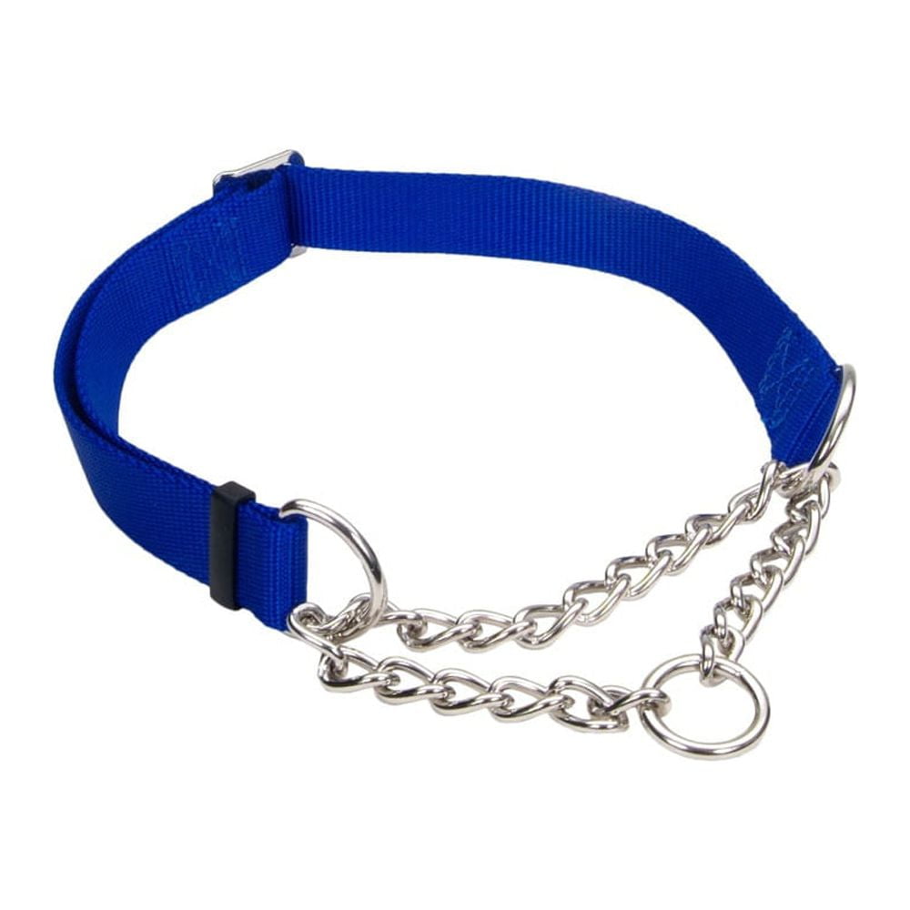 Coastal top martingale collar